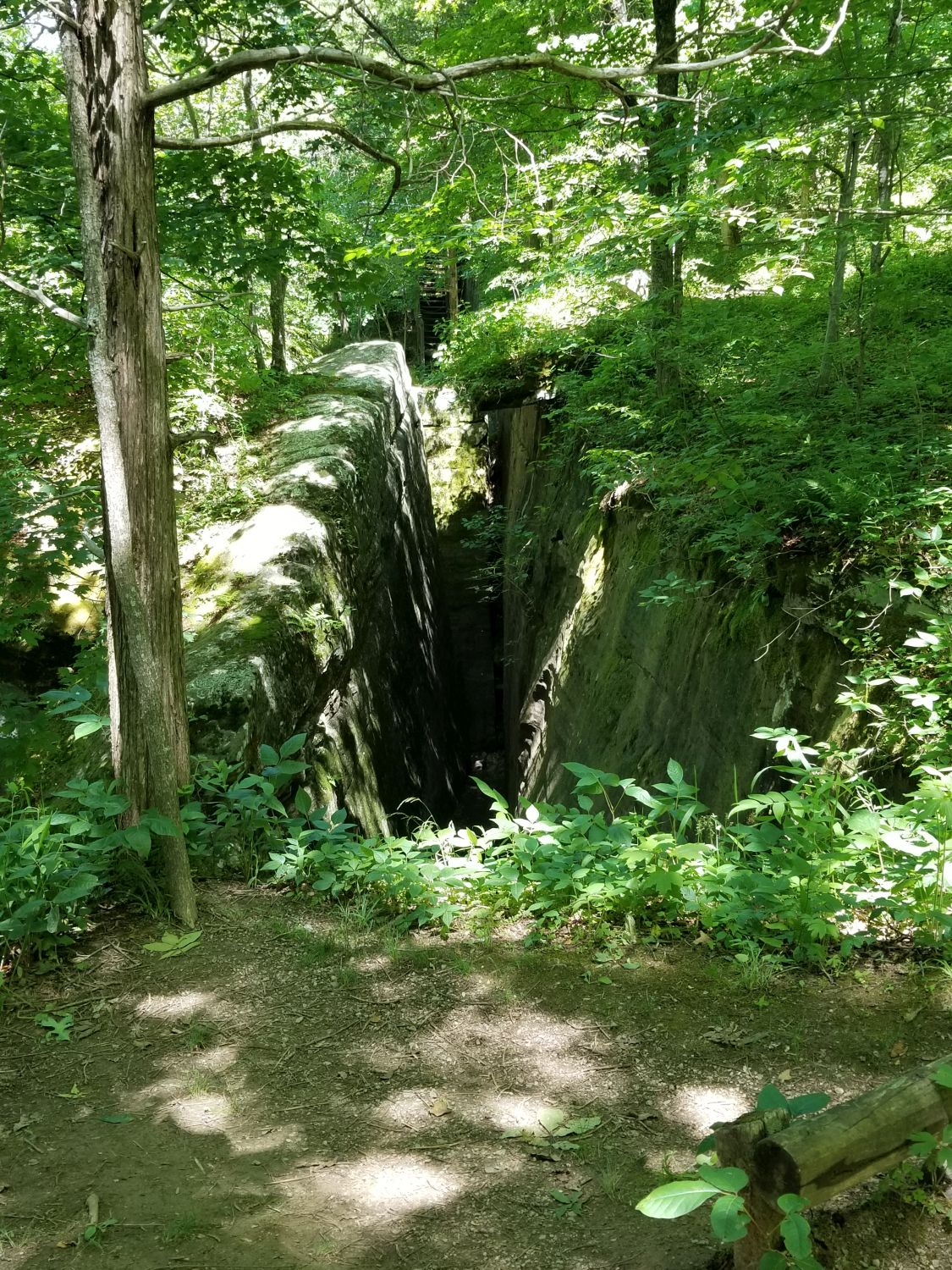 Rim Rock Rec Area - Rim Rock Rec Trail 